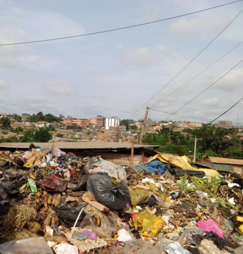 A garbage dump in Cameroon. 